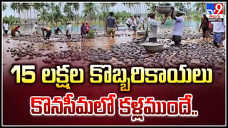 Srisailam Project: శ్రీశైలం ప్రాజెక్ట్ కు సవాళ్లు.! చూసేందుకు అద్భుతంగా జల దృశ్యాలు..