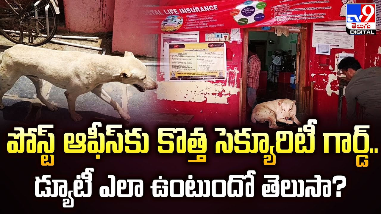 పోస్ట్ ఆఫీస్‌కు సెక్యూరిటీ గార్డుగా శునకం విధులు.. డ్యూటీ ఎలా ఉంటుందో తెలుసా ??