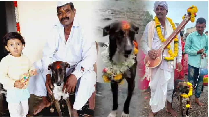 Ismart News: తప్పిపోయిన కుక్క.. 250 కిలోమీటర్లు ప్రయాణించి.. చివరికి ..! Ismart News: తప్పిపోయిన కుక్క.. 250 కిలోమీటర్లు ప్రయాణించి.. చివరికి ..!