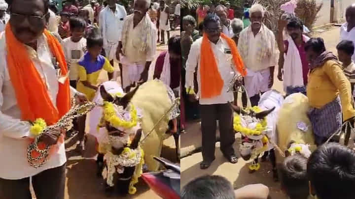 Viral Video: చూడచక్కగా గాడిదల పెళ్లి.. చూతము రారండి.. ఎందుకో తెల్సా..? Viral Video: చూడచక్కగా గాడిదల పెళ్లి.. చూతము రారండి.. ఎందుకో తెల్సా..?