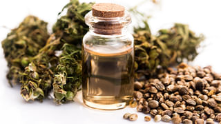 Hyderabad: చాయ్ మరింత ప్రియం.. ఇలా అయితే ఎలా అంటున్న టీ లవర్స్