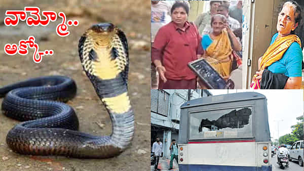 Hyderabad: చెయ్యెత్తితే బస్సు ఆపలేదనీ.. బస్సు అద్దం పగలగొట్టి, కండక్టర్పైకి పాము విసిరిన మహిళ!