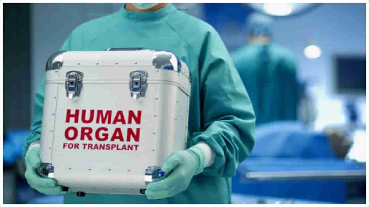 Dual Organ Transplant: ఒక వ్యక్తికి రెండు అవయవాలు అమర్చవచ్చా? నిపుణులు ఏమంటున్నారంటే..