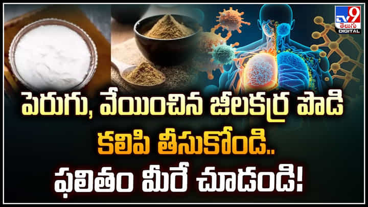 Health: పెరుగు, వేయించిన జీలకర్ర పొడి కలిపి తీసుకోండి.. ఫలితం మీరే చూడండి.! Health: పెరుగు, వేయించిన జీలకర్ర పొడి కలిపి తీసుకోండి.. ఫలితం మీరే చూడండి.!