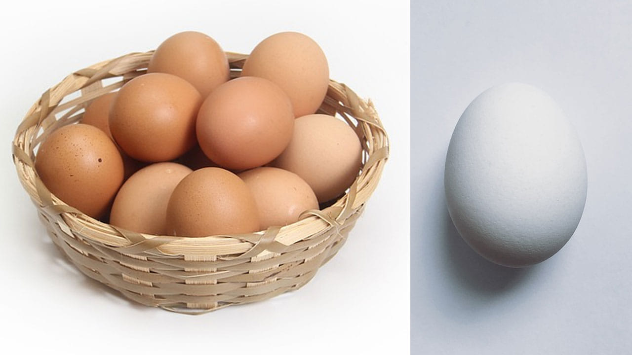 శరీరానికి అవసరమయ్యే 9 అమైనో ఆమ్లాలను కలిగి ఉన్న ఏకైక ఆహారం గుడ్లు. అందుకే తినే ఆహారంలో గుడ్లు తప్పకుండా చేర్చుకోవాలని.. రోజూ ఒక గుడ్డు తినడం ఆరోగ్యానికి చాలా మంచిదని వైద్య నిపుణులు చెబుతున్నారు. అయితే..  కొన్ని సమస్యలు ఉన్నవారు వైద్యుల సలహాలు సూచనలు పాటించి తీసుకోవడం మంచిది.. 