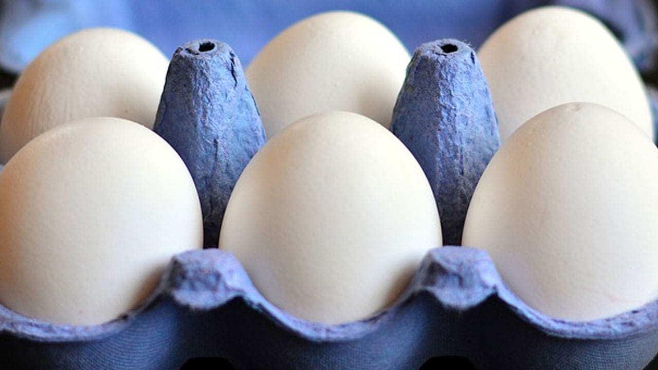  రోగనిరోధక వ్యవస్థ - గుడ్లలో సెలీనియం, ప్రోటీన్లతో పాటు విటమిన్లు A, D, E, B12 పుష్కలంగా ఉన్నాయి. ఇవి రోగనిరోధక శక్తిని బలోపేతం చేసి మన శరీరాన్ని వ్యాధుల నుండి రక్షించడంలో సహాయపడతాయి.