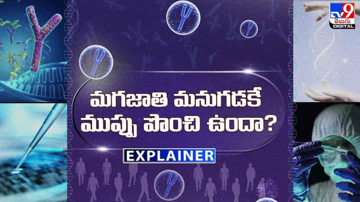 Explainer: మగజాతి మనుగడకే ముప్పు పొంచి ఉందా ?? Explainer: మగజాతి మనుగడకే ముప్పు పొంచి ఉందా ??