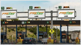 Business Idea: బొప్పాయి సాగుతో రూ.15 లక్షల వరకు ఆదాయం.. అద్భుతమైన బిజినెస్‌ ఐడియా