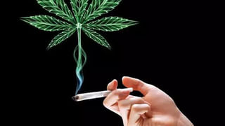 Diabetes: షుగర్‌ పేషెంట్స్‌ మూత్రం దుర్వాసన ఎందుకు.? అసలు కారణం ఏంటంటే..