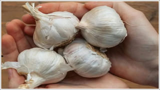 Lips Cancer: సిగరెట్ తాగడం వల్ల పెదవి క్యాన్సర్? ఎలాంటి లక్షణాలు కనిపిస్తాయి?