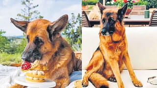 Watch: పేరుకే మ్యాంగో జ్యూస్‌.. తాయారు చేసే విధానం చూస్తే.. బిత్తరపోతారు..!