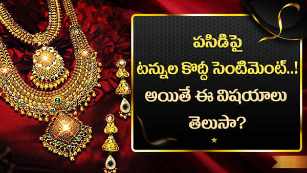 Gold Facts: పసిడి ప్రియులు మస్ట్గా తెలుసుకోవాల్సిన పచ్చి నిజాలు.. అప్పుడే పట్టిందల్లా బంగారం..!