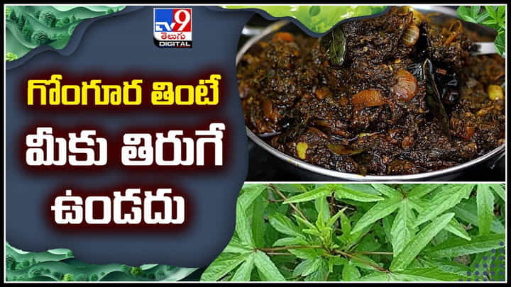 Gongura Health Benefits: గోంగూర తింటే మీకు తిరుగే ఉండదు.! గుండెజబ్బులను దరిచేరవు.. Gongura Health Benefits: గోంగూర తింటే మీకు తిరుగే ఉండదు.! గుండెజబ్బులను దరిచేరవు..