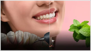 Camphor for Hair: కొబ్బరి నూనెలో కర్పూరం కలిపి రాస్తే.. తెల్ల జుట్టు పోయి పొడుగ్గా పెరుగుతుంది..