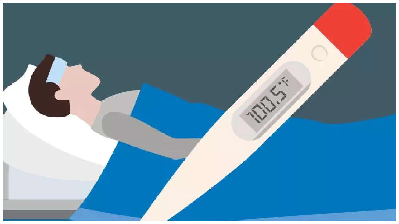 Health Tips: జ్వరం సమయంలో ఈ ఆహారాలు అస్సలు తినవద్దు