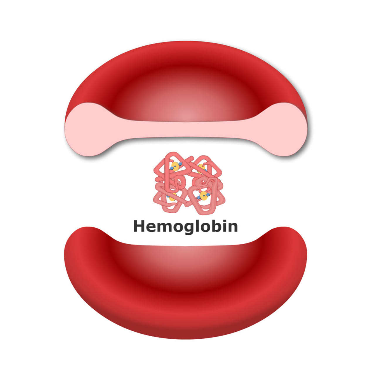 మన శారీరక వ్యవస్థలు సరిగా పని చేయాలంటే కొన్ని పోషకాలు, ప్రోటీన్లు అవసరం ఇలాంటి వాటిలో హిమోగ్లోబిన్ ఒకటి అయితే ఐదు ఐరన్ రిచ్ ఫుడ్స్ డైట్లో యాడ్ చేసుకుంటే హిమోగ్లోబిన్ లెవల్స్ తొందరగా పెరుగుతాయి.