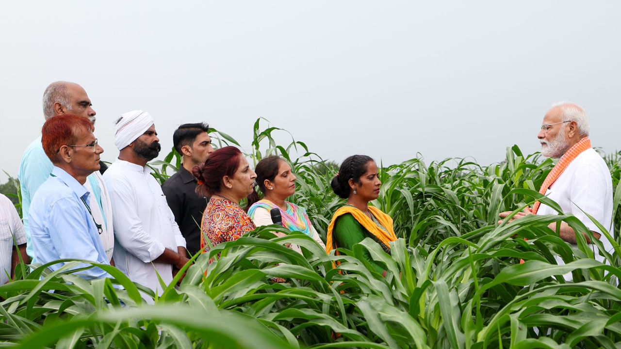 వ్యవసాయ ఉత్పాదకత, రైతుల ఆదాయాన్ని పెంపొందించడమే లక్ష్యంగా ప్రధాని నరేంద్ర మోదీ ఆదివారం సరికొత్త విత్తనాలను విడుదల చేశారు. వ్యవసాయ, ఉద్యానవన పంటల్లో అధిక దిగుబడినిచ్చే, రకరకాల వాతావరణల పరిస్థితిని తట్టుకునేలా ఈ బయోఫోర్డిఫైడ్ విత్తనాలను తయారు చేశారు. 