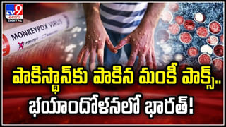 మంటల్లో ఫెర్రీస్‌ వీల్‌.. సందర్శకుల హాహాకారాలు !!