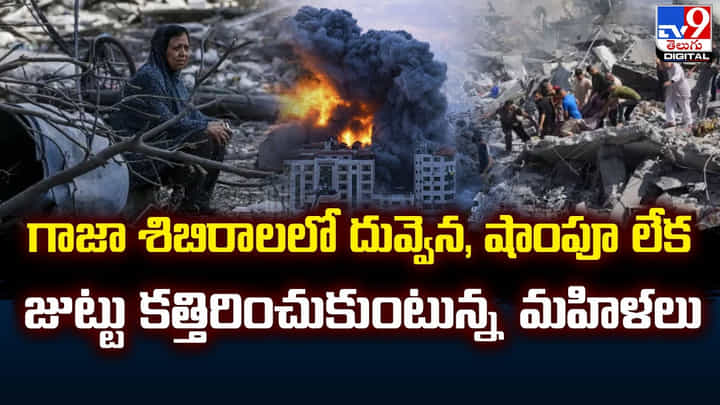 గాజా శిబిరాలలో దువ్వెన, షాంపూ లేక జుట్టు కత్తిరించుకుంటున్న మహిళలు గాజా శిబిరాలలో దువ్వెన, షాంపూ లేక జుట్టు కత్తిరించుకుంటున్న మహిళలు