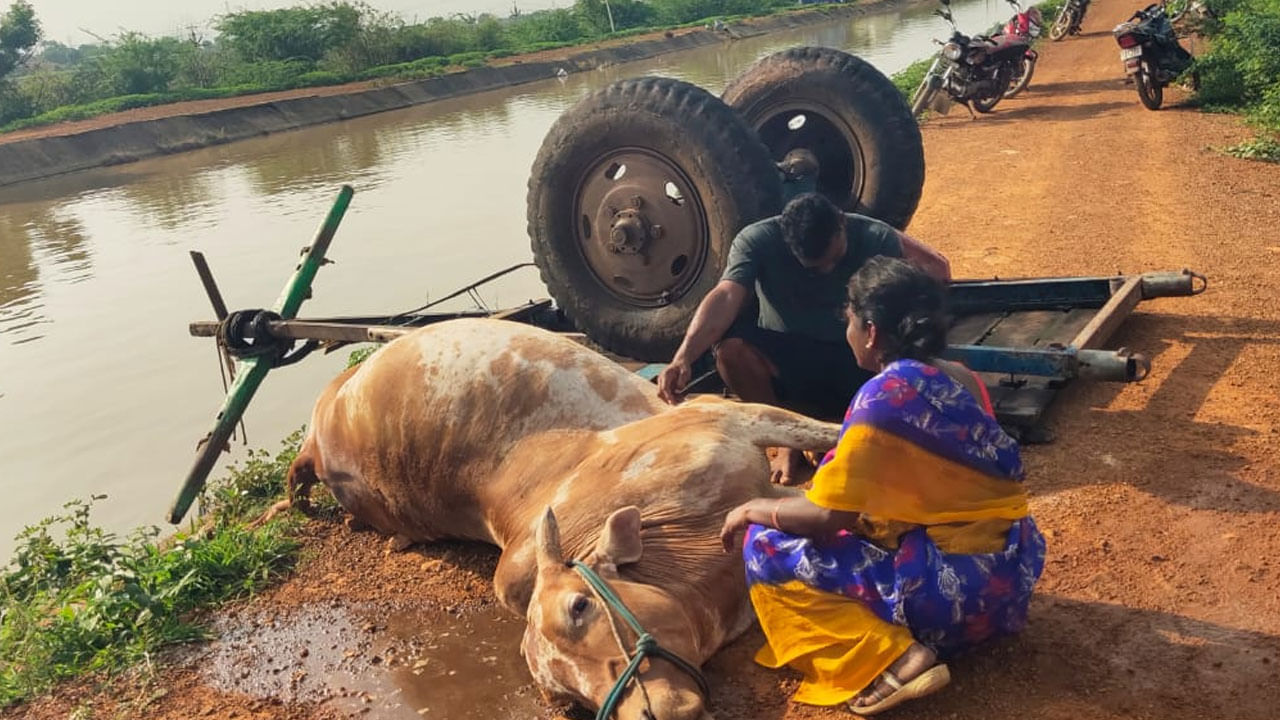 Kadapa News