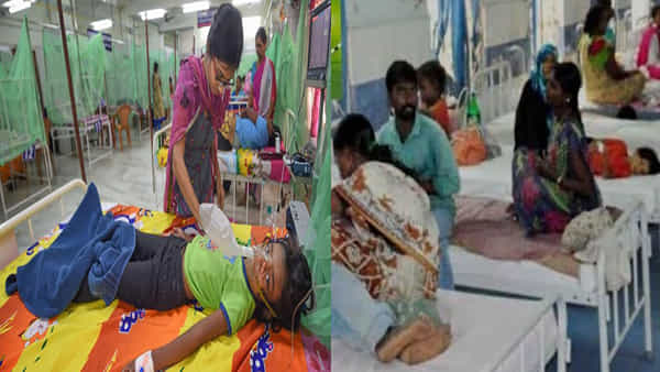 Dengue: పల్లెల్లో విజృంభిస్తున్న డెంగ్యూ.. మంచం పడుతున్న కరీంనగర్ వాసులు.. 20రోజులు అలెర్ట్ ప్రకటించిన వైద్యులు
