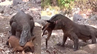 Viral Video: అక్కో.. బస్సు ఇలా కూడా ఎక్కొచ్చా.. వీడియో చూస్తే బిత్తరపోవాల్సిందే..