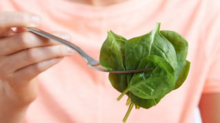 Kitchen Hacks: ఇంట్లో చెద ఇబ్బంది పెడుతోందా.. ఈ నేచురల్ టిప్స్ తో చెదపురుగుల నుంచి ఉపశమనం పొందండి..