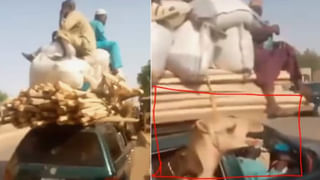 Viral Video: క్రూరమైన హైనాతో వ్యక్తి ఫ్రెండ్ షిప్.. వైరల్ అవుతున్న వీడియో..