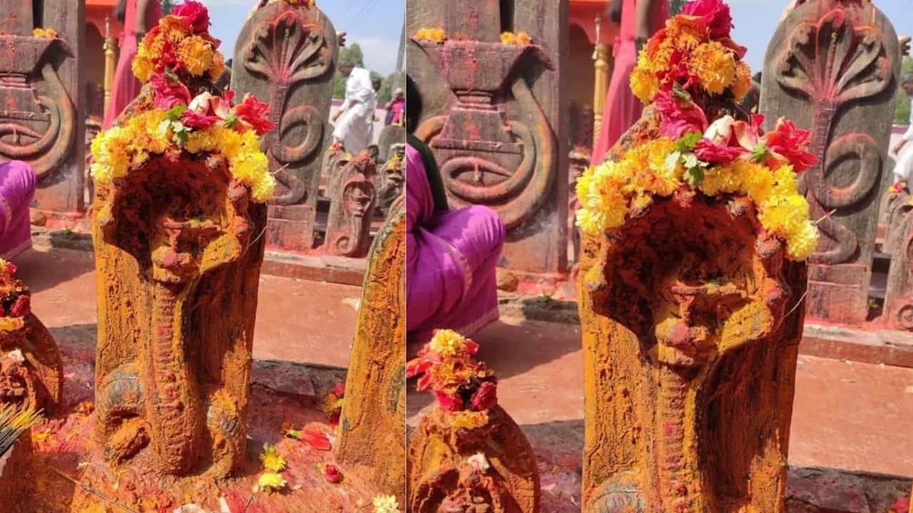 ప్రతి ఆది, గురువారాల్లో ఆలయంలో ప్రత్యేక పూజలు నిర్వహిస్తారు. చర్మవ్యాధులతో బాధపడేవారు ఇక్కడికి వస్తుంటారు. చెరువులో (కళ్యాణి) స్నానం చేస్తే చర్మవ్యాధులు నయమవుతాయని నమ్ముతారు.