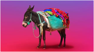 Hyderabad: గజం భూమి రూ. 10 లక్షలేంటీ భయ్యా.! హైదరాబాద్‌లోని ఈ ప్రాంతం మరో మాదాపూర్