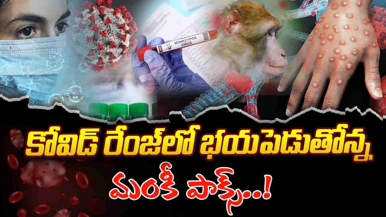 Mpox Virus: కోవిడ్ రేంజ్‌లో భయపెడుతోన్న మంకీ పాక్స్.. ఈ వైరస్ మరింత ప్రాణాంతకంగా మారనుందా..?