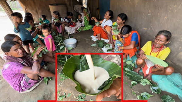 Telangana: ఏజెన్సీలో సీజనల్ జ్వరాలకు చికిత్స దొరికింది.. అది తాగితే చాలట..!