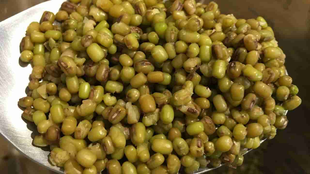 Mung Bean: పెసలు తింటే షుగర్ వ్యాధి కంట్రోల్.. ఇంకా ఎన్నో బెనిఫిట్స్..