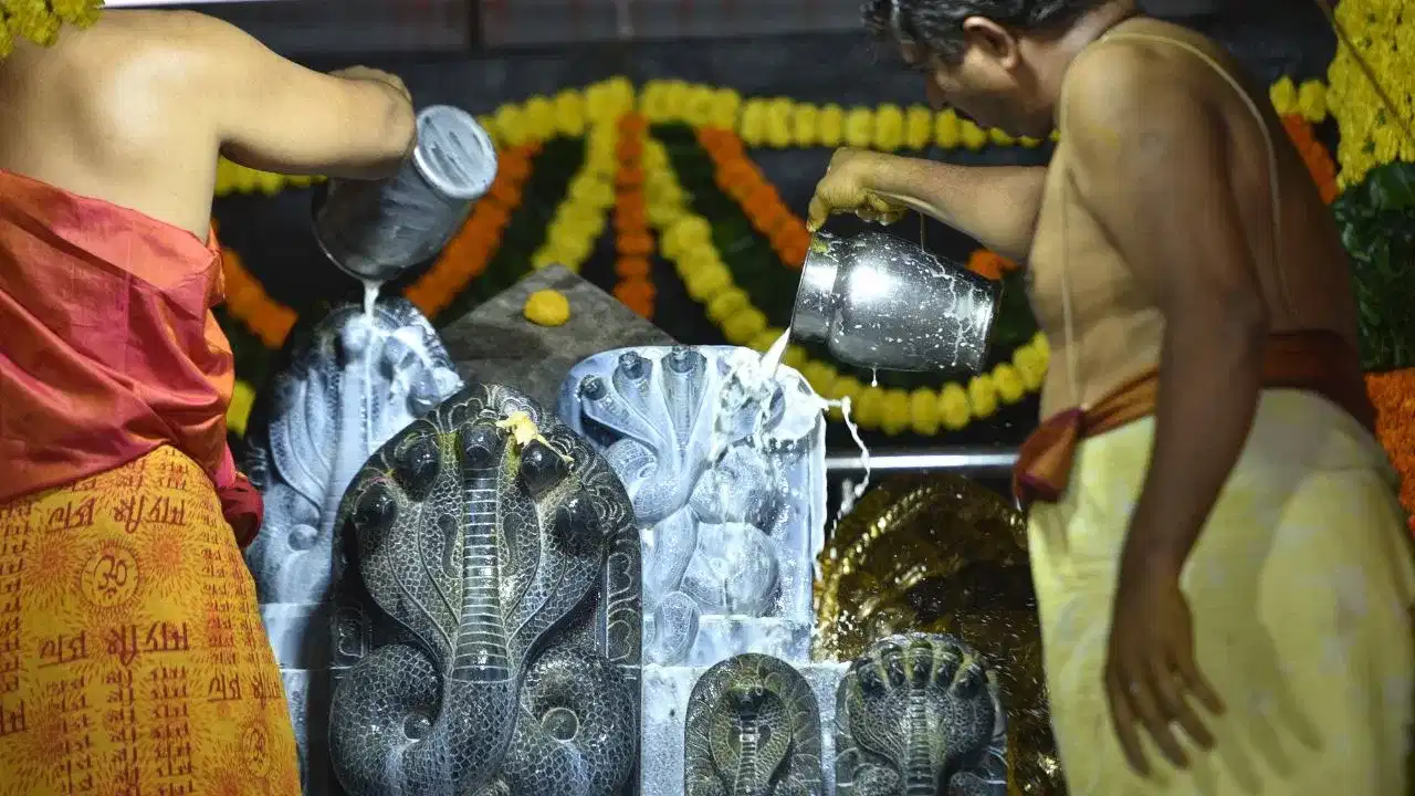 నాగ పంచమి రోజు పాములను పూజిస్తే జాతకంలో ఉండే కాలసర్పదోషం వంటివి పోతాయని నమ్మకం. బ్రహ్మ పురాణం ప్రకారం నాగ పంచమి రోజున పాములను పూజించడానికి బ్రహ్మ దేవుడు వరం ఇచ్చాడు. అయితే నాగ పంచమి రోజు కొన్ని పనులను అస్సలు చేయకూడదట. అవేంటో ఇప్పుడు చూద్దాం.