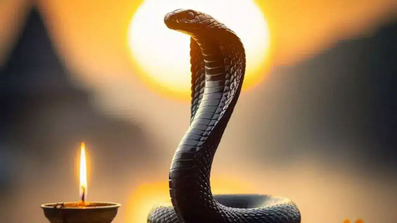 నాగ పంచమి రోజున మట్టిని తవ్వే ఎలాంటి పనులు కూడా చేయకూడదు. అదే విధంగా భూమిని దున్నడం, పొలాన్ని కూడా దున్నకూడదు. నాగ పంచమి రోజు ఆకు కూరలు కూడా కోయ కూడదని అంటారు. అదే విధంగా ఈ రోజున పాములకు ఎలాంటి హాని చేయకూడదు.