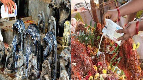 Naga Panchami 2024: నాగ పంచమి రోజున పొరపాటున కూడా ఈ పనులు చేయవద్దు.. కాల సర్ప దోషం బారిన పడవచ్చు సుమా..