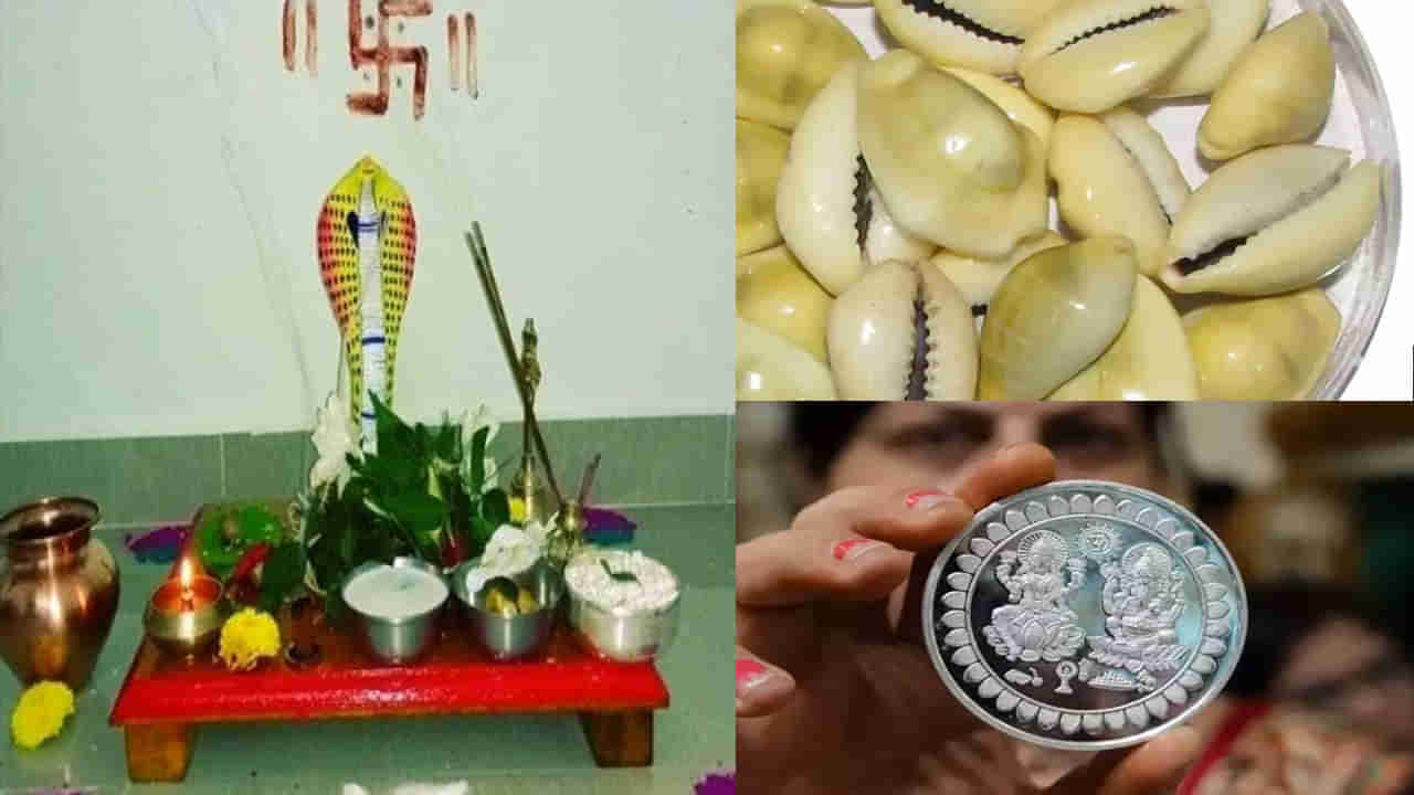 Nag Panchami 2024: నాగేంద్రుడిని పూజించిన తర్వాత ఈ రోజు ఈ పరిహారాలు చేసి చూడండి.. లక్ష్మీదేవి అనుగ్రహం మీ సొంతం