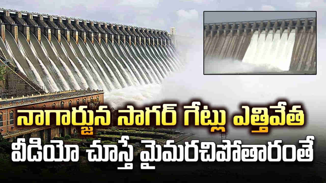 Nagarjuna Sagar Dam: జలసవ్వడి.. నాగార్జున సాగర్ గేట్లు ఎత్తివేత.. వీడియో చూస్తే మైమరచిపోతారంతే