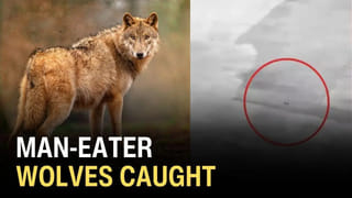 ‘Emergency’: ‘ఎమర్జెన్సీ’ మూవీపై రాజుకుంటున్న వివాదం.. రిలీజ్‌ చేస్తే చంపేస్తామంటూ కంగనాకు వార్నింగ్!