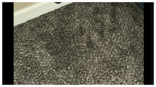 వేపాకు నీటితో స్నానం చేస్తే ఈ సమస్యలన్నీ దూరం.. అద్భుతమైన మెరిసే చర్మం..!