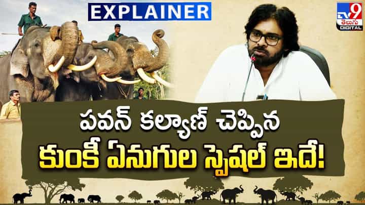 కుంకీ ఏనుగులు ఏం చేస్తాయి..? ఊళ్లల్లోకి వస్తున్న అడవి ఏనుగుల్ని ఎలా దారికి తెస్తాయి? కుంకీ ఏనుగులు ఏం చేస్తాయి..? ఊళ్లల్లోకి వస్తున్న అడవి ఏనుగుల్ని ఎలా దారికి తెస్తాయి?