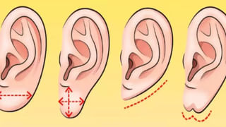 Chanakya Niti: జీవితంలో విజయం సాధించాలంటే కష్టం ఒకటే సరిపోదు ఈ లక్షణాలు ఉండాలట..