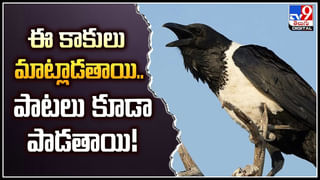 Bangladesh Crisis: వెంటాడి, వేటాడి రగులుతున్న బంగ్లాదేశ్.. హీరోను కూడా చంపేశారు.!