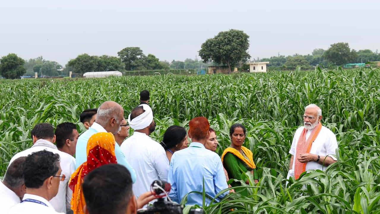 మధ్యాహ్న భోజనం, అంగన్వాడీల వంటి అనేక ప్రభుత్వ కార్యక్రమాలతో అనుసంధానం చేయడం ద్వారా బయో ఫోర్టిఫైడ్ రకాల పంటలను ప్రోత్సహించడంపై కేంద్ర ప్రభుత్వం దృష్టిసారించింది. దీంతో రైతులకు మంచి ఆదాయం రావడంతోపాటు పారిశ్రామికవేత్తలకు కొత్త అవకాశాలు లభిస్తాయని కేంద్రం అంచానవేస్తోంది.