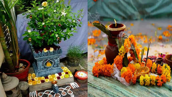 Polala Amavasya: జీవితంలో కష్టాలు తొలగిపోవడానికి పోలాల అమావాస్య రోజున తులసి పూజను ఎలా చేయాలంటే..
