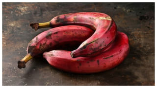 Remedies for White Hair: తెల్ల జుట్టును నల్లగా మార్చే అద్భుతమైన చిట్కాలు.. మీ కోసమే..