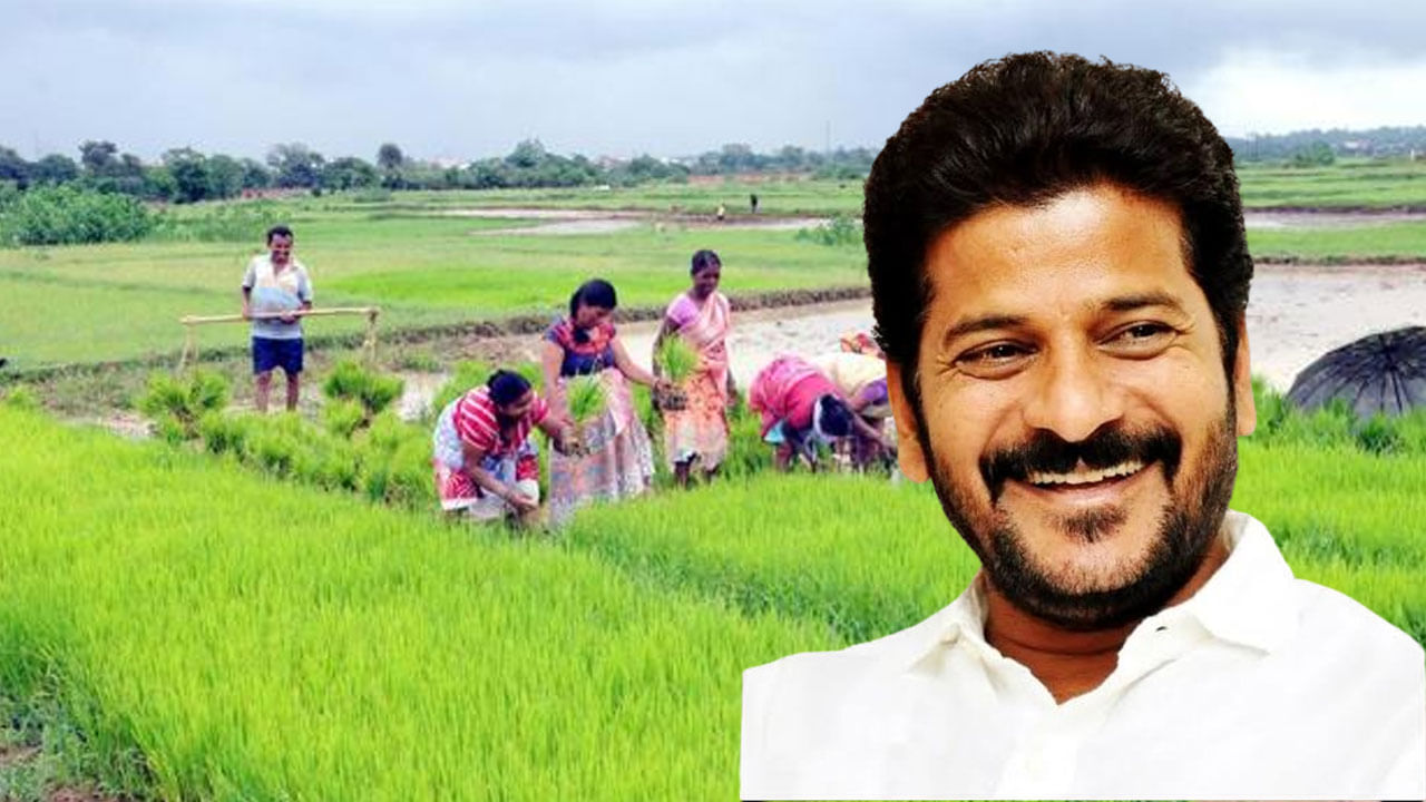 Revanth Reddy: రుణమాఫీ కాని రైతులకు సీఎం రేవంత్ రెడ్డి గుడ్‌న్యూస్.. ఎక్కడ ఫిర్యాదు చేయాలంటే..