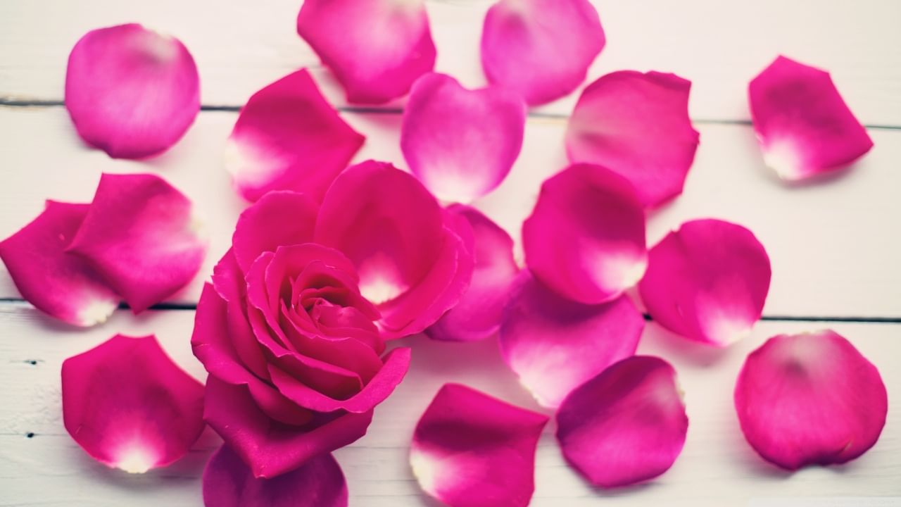 Rose Petals: గులాబీ రేకులతో పైల్స్ సమస్య మాయం.. ఇంకా మెరిసే అందం మీ సొంతం..