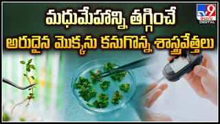 Almond Butter: ఇంట్లోనే ఈజీగా హెల్దీగా బాదం బటర్ చేసేయండి..