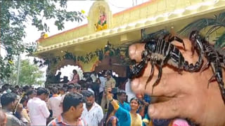 Chandipura Virus: కలకలం రేపుతున్న ‘చండీపురా’ వైరస్‌.. రెండేళ్ల బాలిక మృతి.. చిన్నారులే టార్గెట్‌